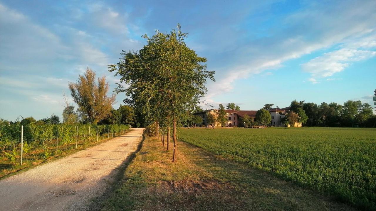 Agriturismo Alle Albare Montorio Veronese Exteriör bild