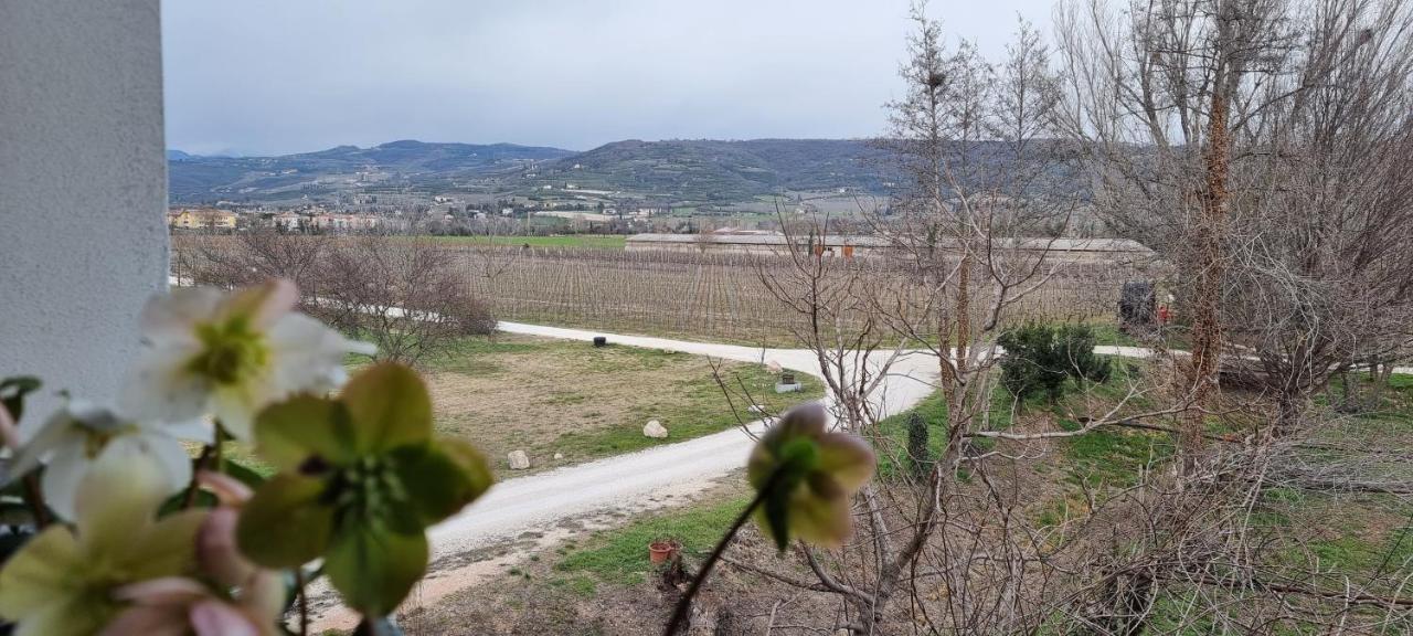 Agriturismo Alle Albare Montorio Veronese Exteriör bild