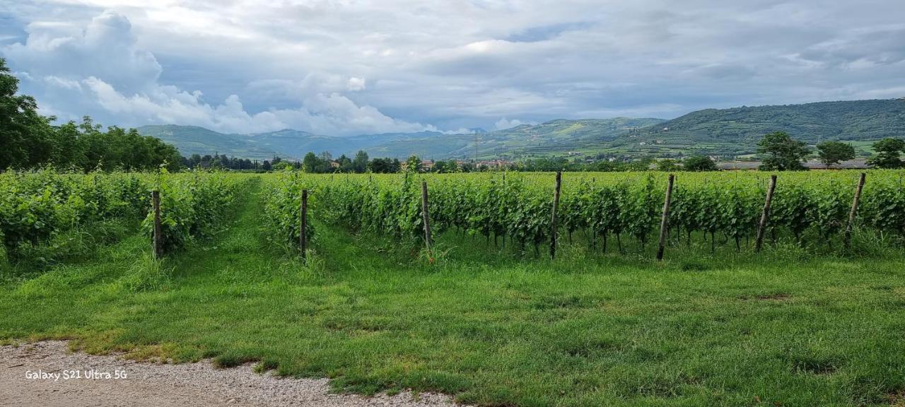 Agriturismo Alle Albare Montorio Veronese Exteriör bild